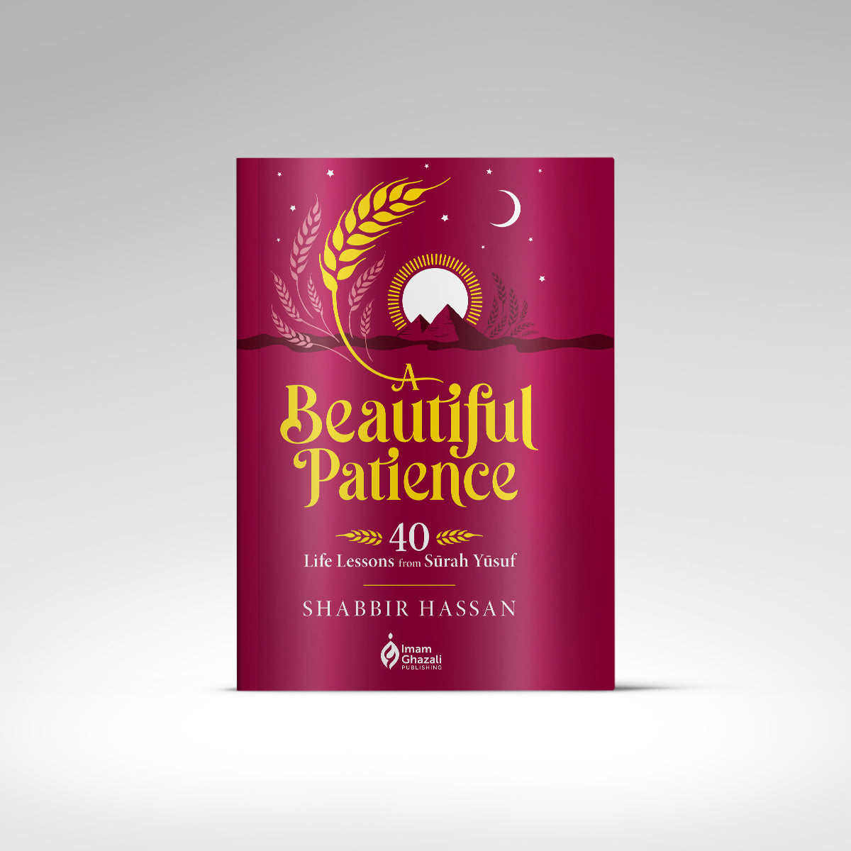 A Beautiful Patience flat front cover view