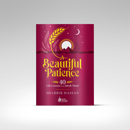 A Beautiful Patience flat front cover view