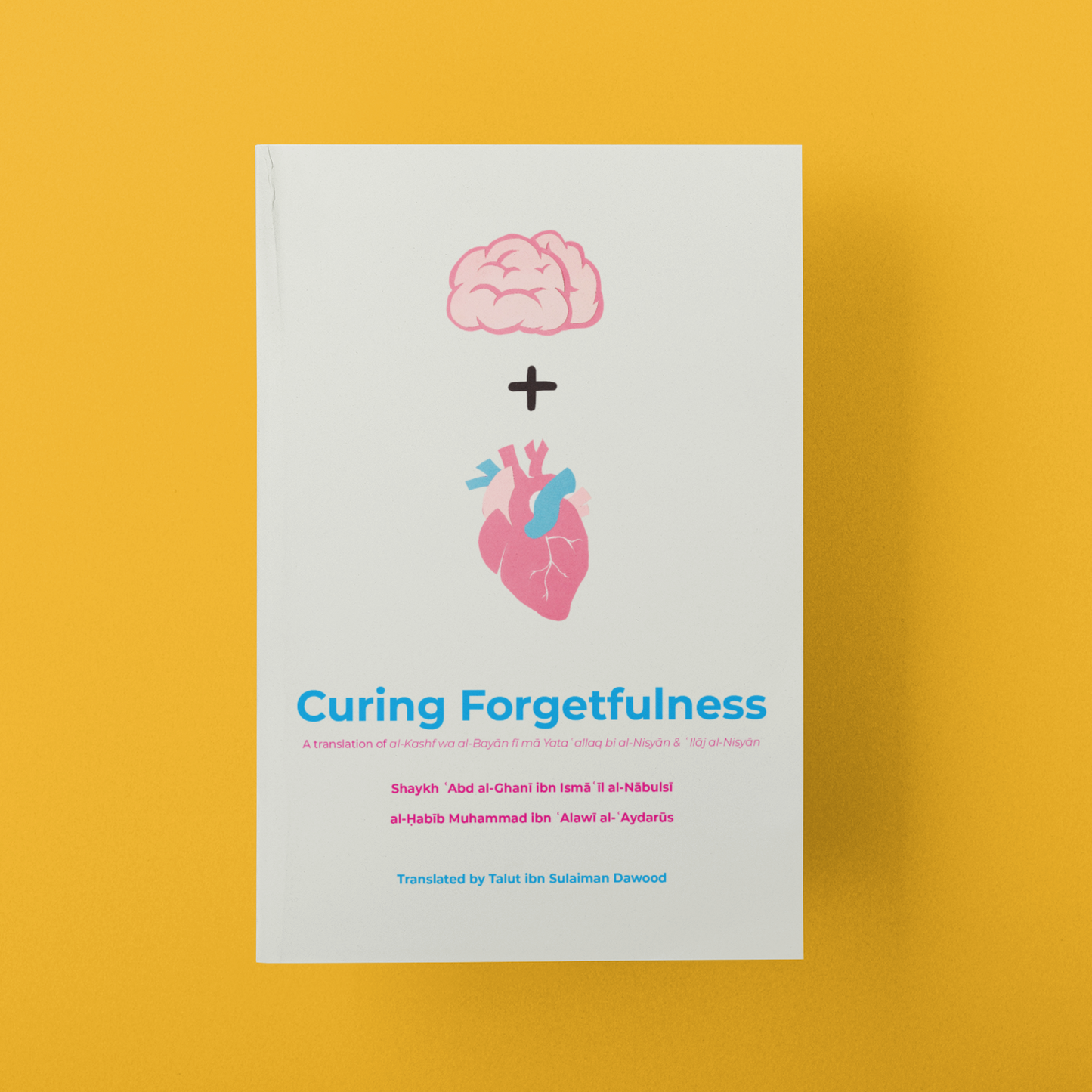 Curing Forgetfulness interior page showing remedies