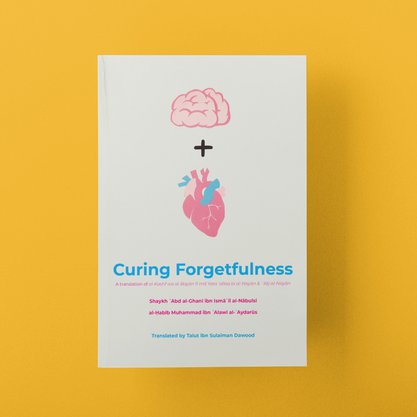 Curing Forgetfulness interior page showing remedies